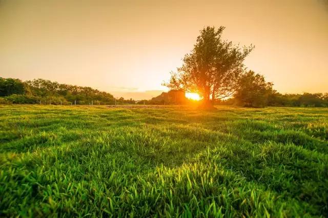 人生最大的乐趣是自己喜欢的工作,人生的最大乐趣无非就是吃喝玩乐