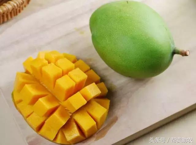 这个教师节，我要送芒果界的“巨无霸”