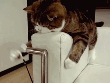 买newbalance用什么软件,newbalance美产怎么选