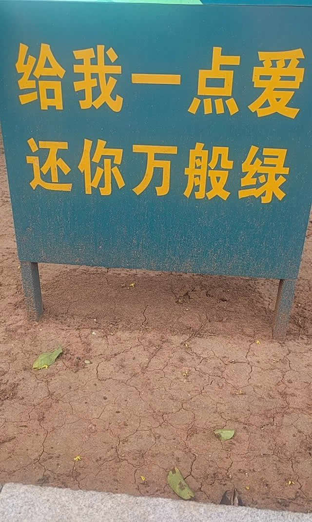 段子十则：黄瓜断了，断的那一半，在里面