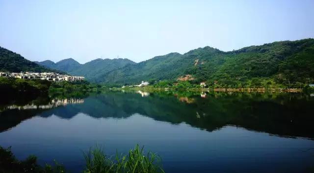 不愧为中山的生态保护区，镜头下的五桂山竟然这么美