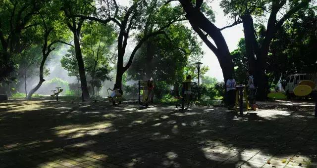 不愧为中山的生态保护区，镜头下的五桂山竟然这么美