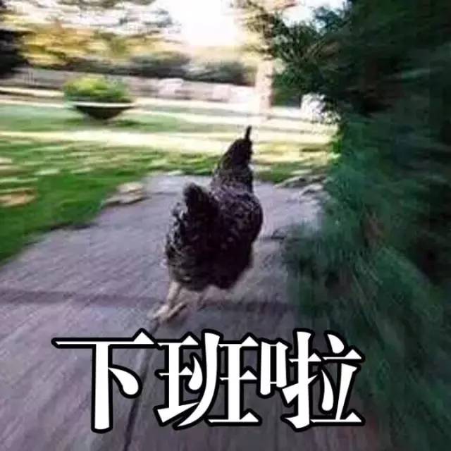 石家庄99%人的上班态势，最后一个说到心坎里了！