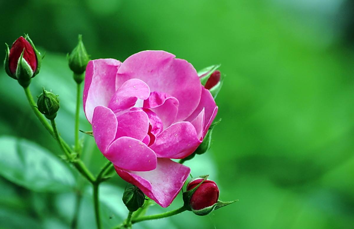 最全安妮宝贝爱情经典语录,在线阅读安妮宝贝七月与安生