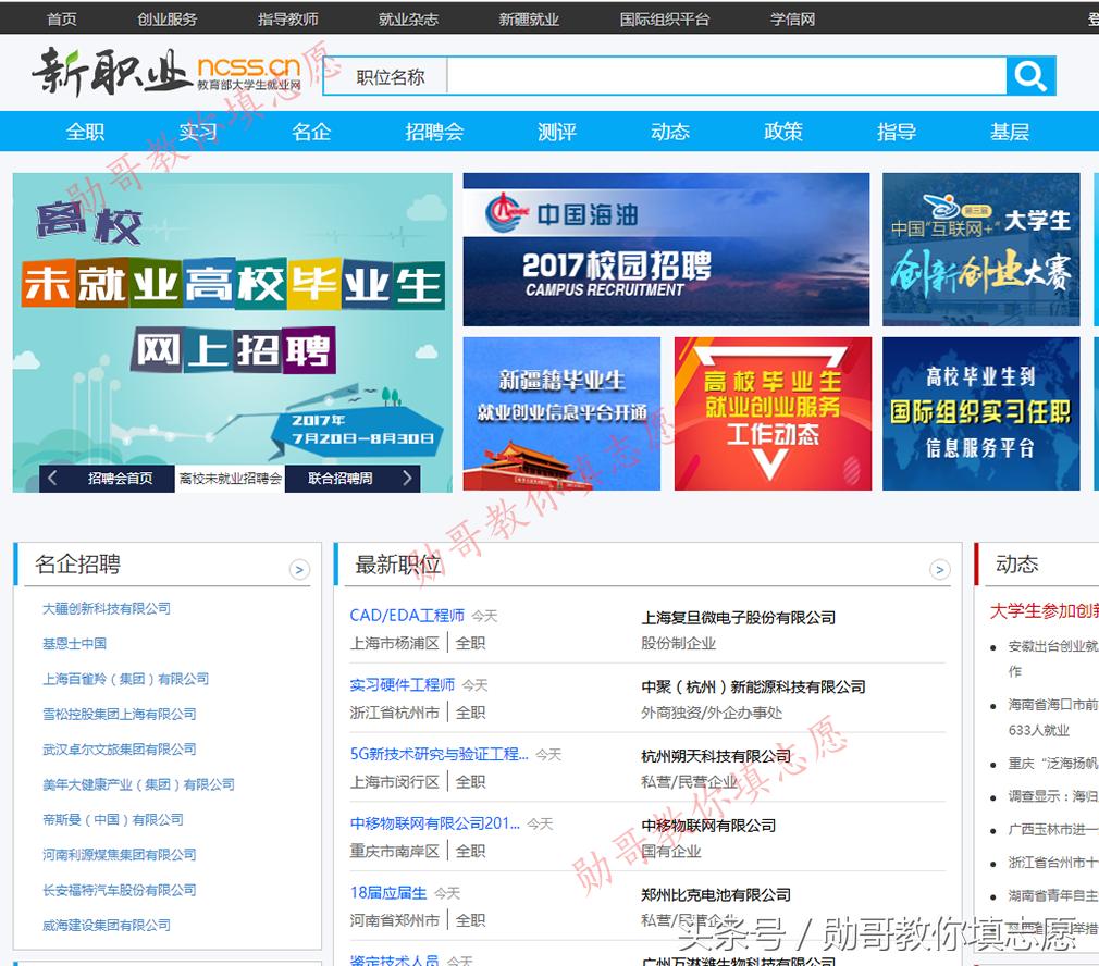 高考志愿填报找勋哥官网,高考志愿填报规则技巧大全直播