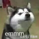 世界上稀奇古怪的网站,全球有什么有趣的网站