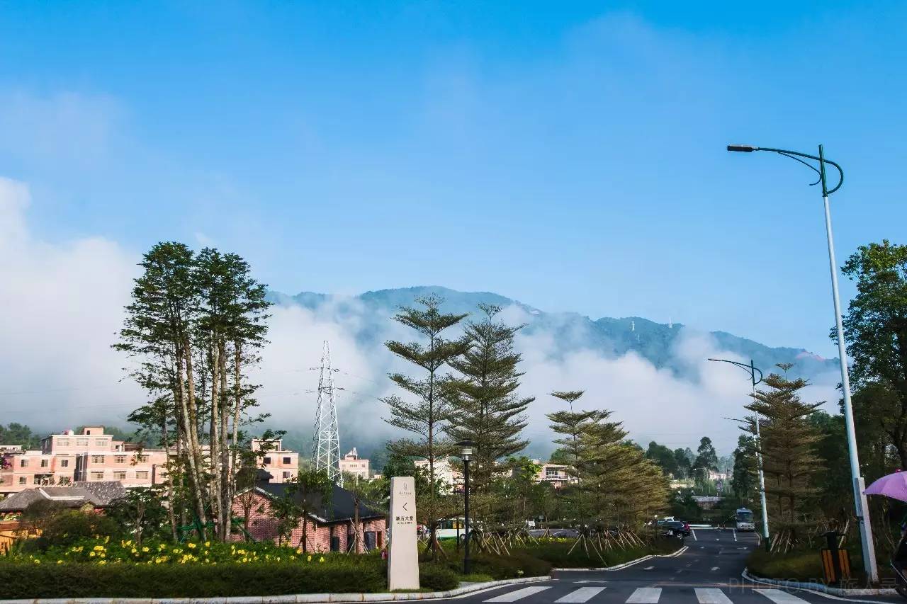 住在梦境般的黄姚花海之中，找回久违了的诗意与远方