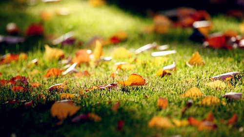 9月8日穿衣指南今日运势,9月7日穿衣指南今日运势