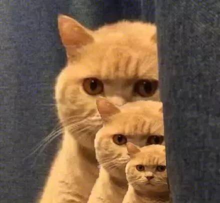 石家庄99%人的上班态势，最后一个说到心坎里了！