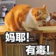 世界上稀奇古怪的网站,全球有什么有趣的网站