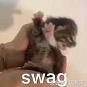 世界上稀奇古怪的网站,全球有什么有趣的网站