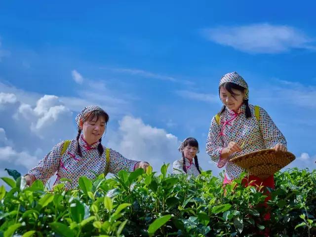 不愧为中山的生态保护区，镜头下的五桂山竟然这么美