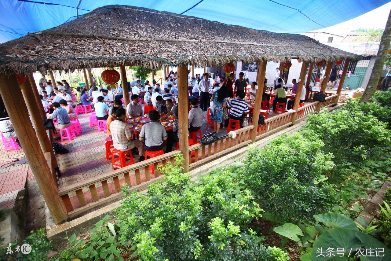南京浦口农村一日游农家乐,南京浦口机场附近的农家乐