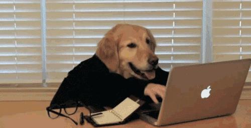 石家庄99%人的上班态势，最后一个说到心坎里了！