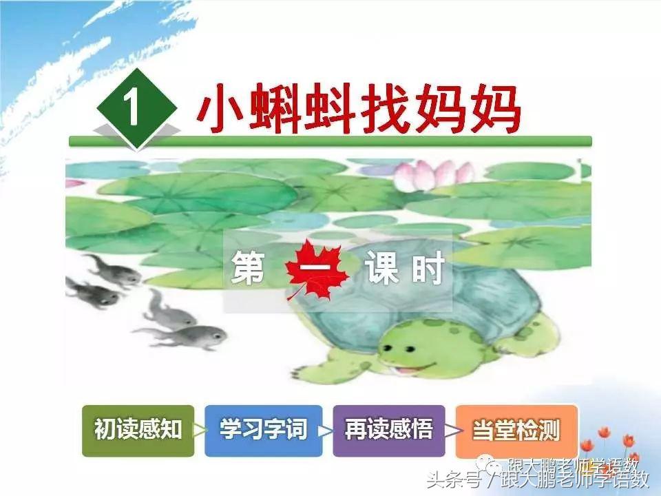 小蝌蚪找妈妈课文讲课ppt,小蝌蚪找妈妈课件