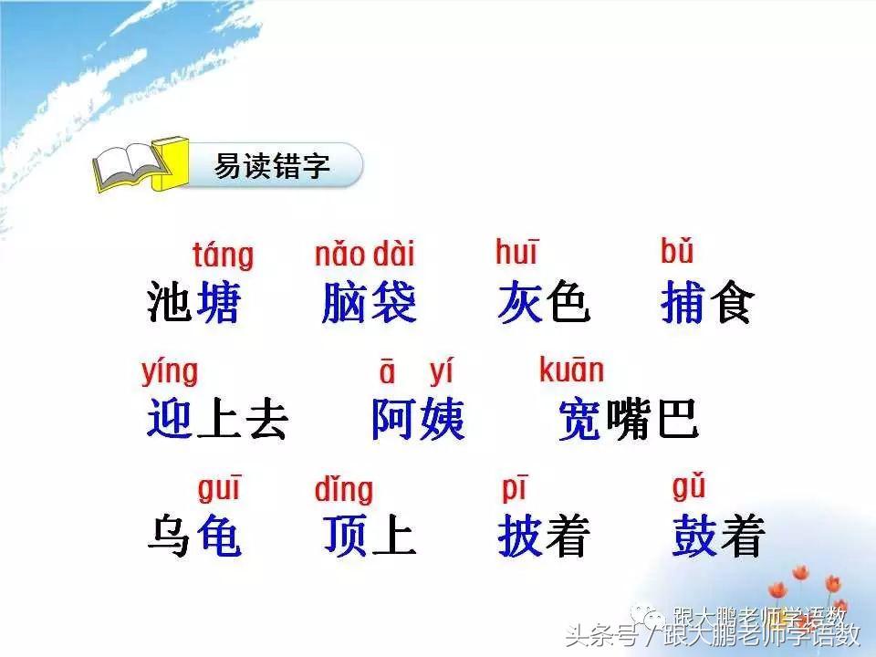 小蝌蚪找妈妈课文讲课ppt,小蝌蚪找妈妈课件