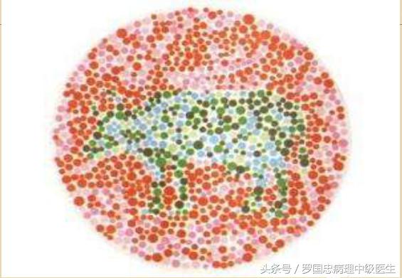 色盲色弱怎么才能过关,如何克服色盲
