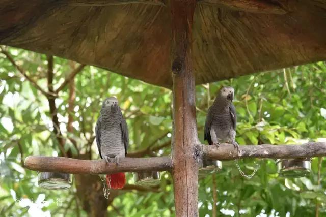 三亚合适小朋友玩的景区,三亚儿童旅游