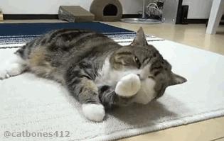 收缩毛孔黑头偏方大全,脸上毛孔粗有肉刺有什么偏方