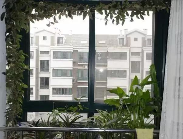 秋天花卉浇水的方法,秋天兰花养护技巧