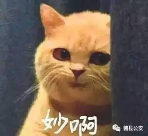 有了这个神器就能玩转一切了吗,有了这个神器就能玩转一切了英语