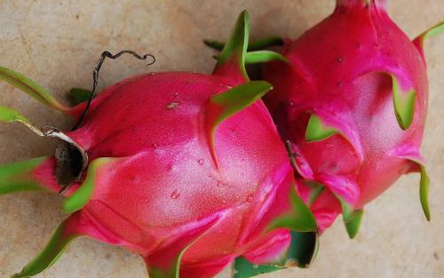 水果小百科美颜小当家，最后一期你还知道那些水果呢｜奇物推荐