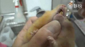 吴镇宇说自己火大动态图,吴镇宇发飙摔倒视频