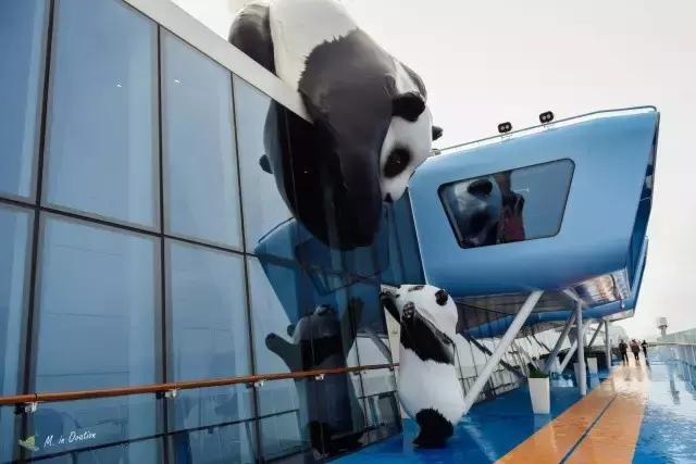 皇家加勒比量子号在哪里,皇家加勒比海洋光谱号详细攻略