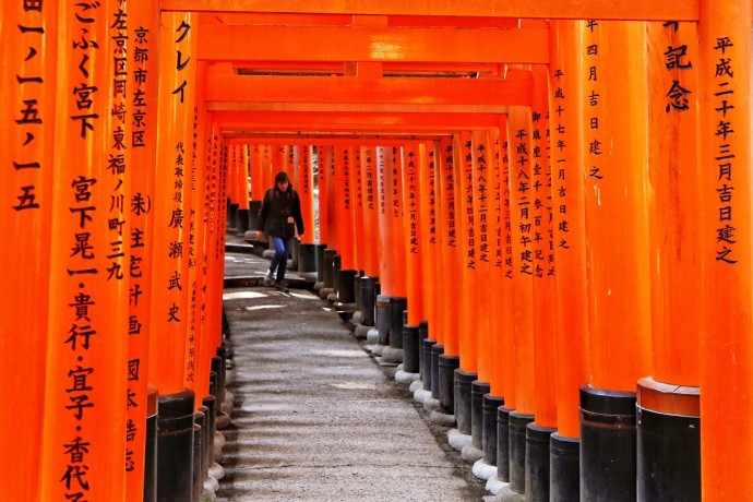 为什么现在出境游越来越贵,出境游为什么比国内游便宜