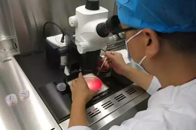 太神奇！生殖医学博士揭秘试管婴儿全过程！
