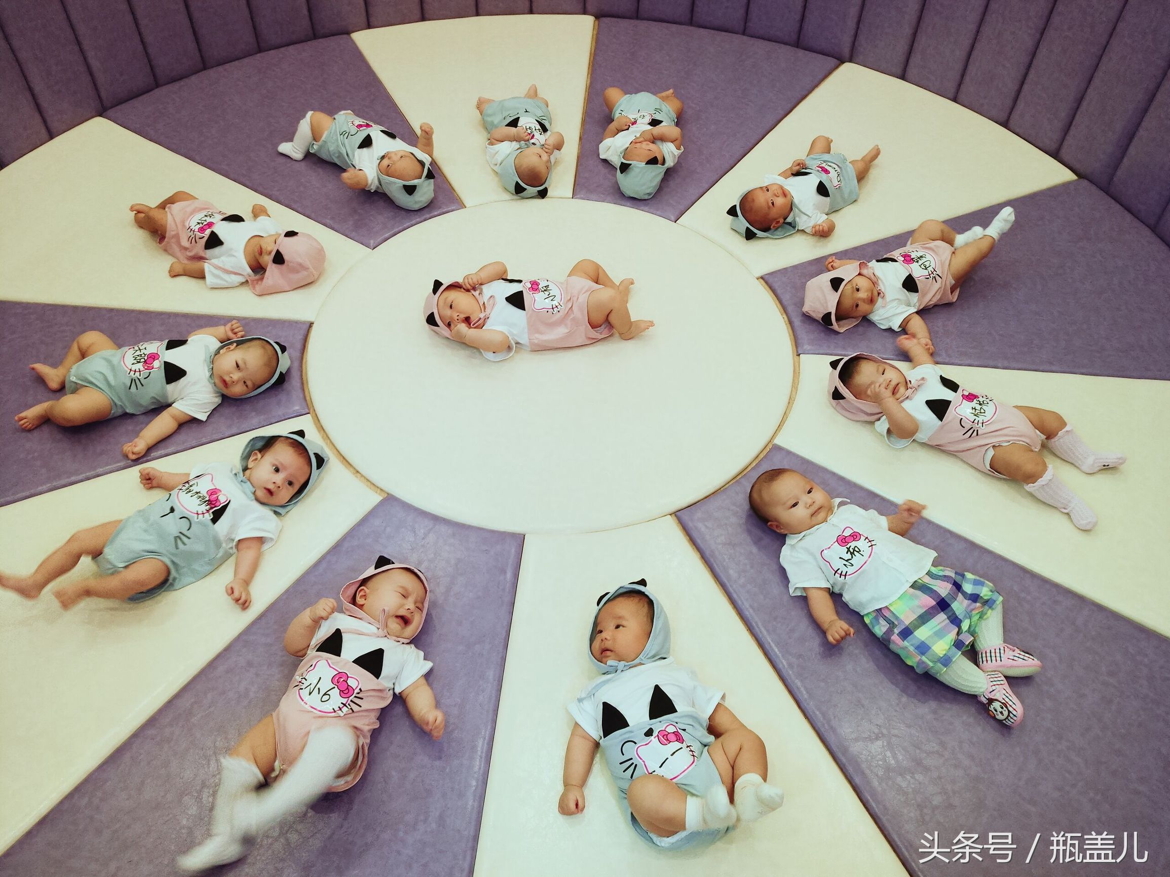 家有男孩儿怎么培养,家有6个月宝宝能养小狗吗