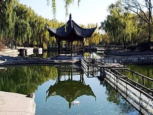 姥姥不疼舅舅不爱的人是什么性格,姥姥不疼舅舅不爱爸妈爱妹妹