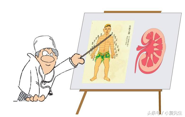 肾炎尿蛋白高怎么治,肾炎的中医辨证治疗方剂