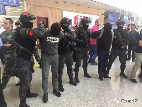 沈阳真人cs基地杀人案,沈阳真人cs基地杀人案判决