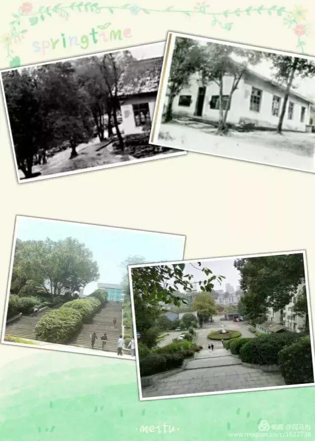 校园爱情青春的气息,校园爱情回忆