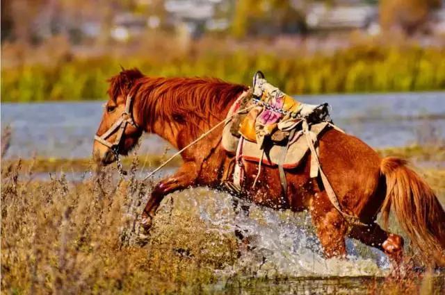 西安到丽江往返机票团购,西安飞丽江行程