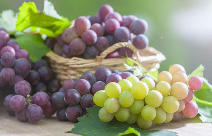 鼻梁黑色素沉积怎么办,鼻梁两侧黑色素沉积怎么遮