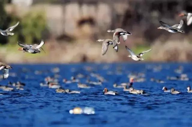 西安到丽江往返机票团购,西安飞丽江行程