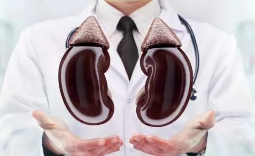 巧食蛋白保肾功？之慢性肾脏病的营养治疗法