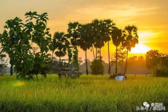 如果在泰国被打了怎么办,在泰国遭遇歧视应对方法