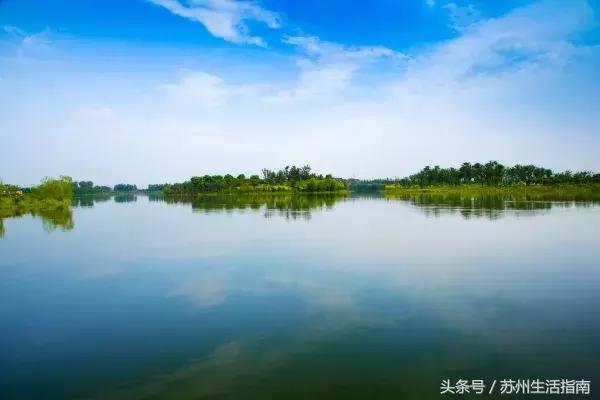 黄桥滨河家园,黄桥景观绿化