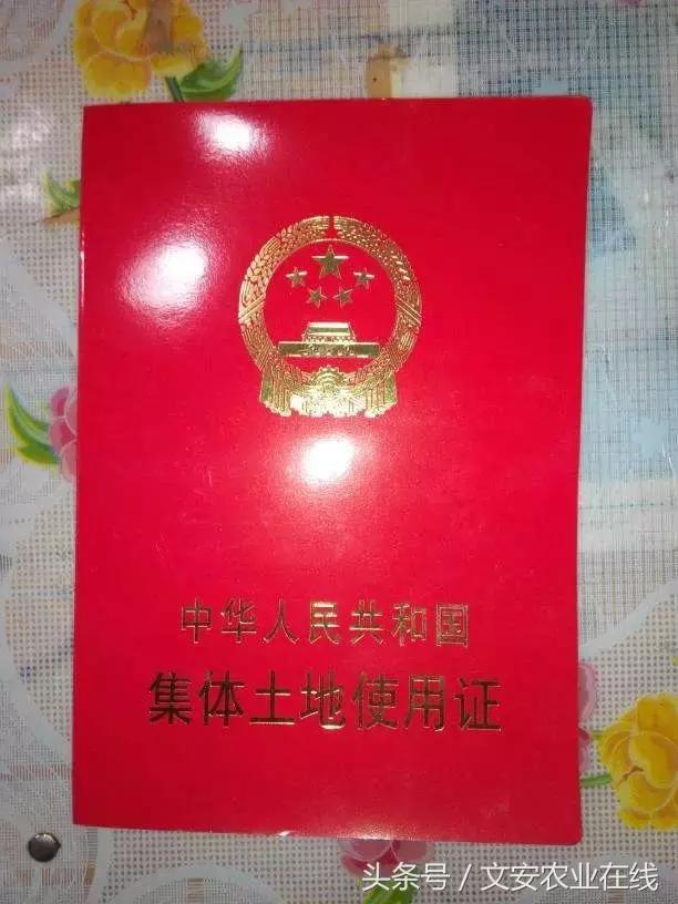 租房土地证的用处,农村土地证有几本