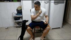 英斗除了吃就是睡,英斗为什么那么傻还那么能打架