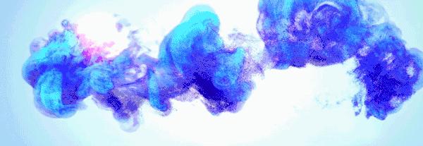 麻核桃蓟县,蓟县野生麻核桃图片