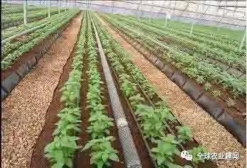 各种农机大盘点（2），你认识几种？