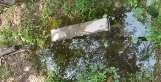 不养龟怎么知道养龟人的乐趣,你没养过狗永远不知道养狗的快乐