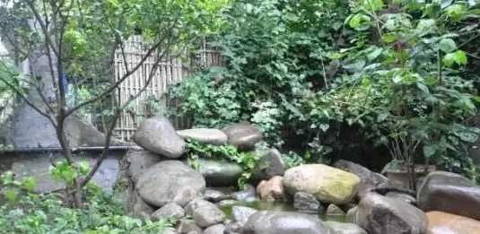 不养龟怎么知道养龟人的乐趣,你没养过狗永远不知道养狗的快乐