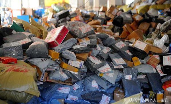 美女养泰迪连续三月收到宠物用品快递，报警调查结果让她哭笑不得