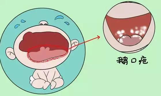 拿什么拯救你我的爱人新版,拿什么拯救你我的爱人李崇霄