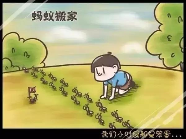 在户外要怎么关注红火蚁,高度警惕红火蚁